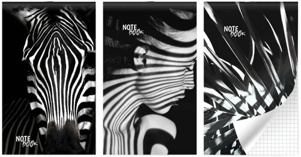 Блокнот А6  30л Полоска