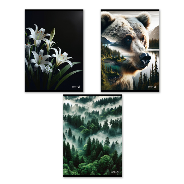 Тетрадь А4  80л Твой край