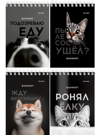 Блокнот/гребень А6 40л Смешные питомцы