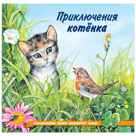 Книжка А5 Приключения котенка