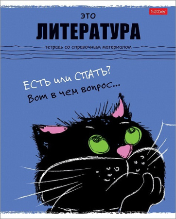Тетрадь темат. 48л Черный кот Литература АКЦИЯ